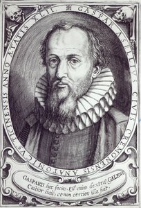 Gaspare Aselli de Cesare Bassano